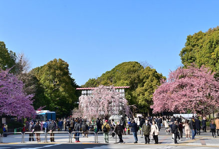 寛永寺